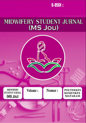 					View Vol. 4 No. 2 (2025): Midwifery Student Journal (MS Jou)
				